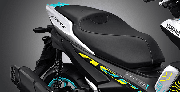 Comfortable Tandem Seat